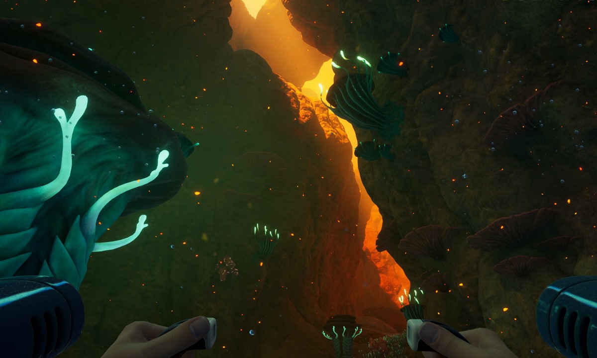 Early biome route branch ladder visual preview.