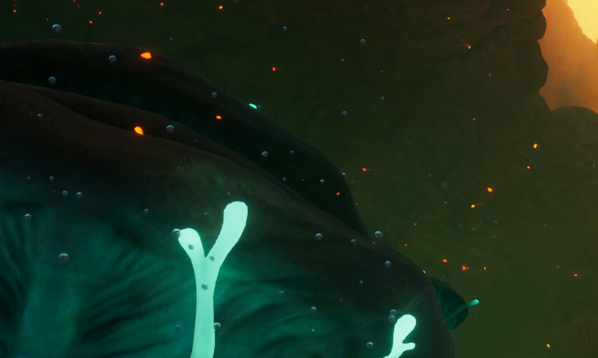 Official Subnautica 2 biome screenshot showing a readable navigation lane.